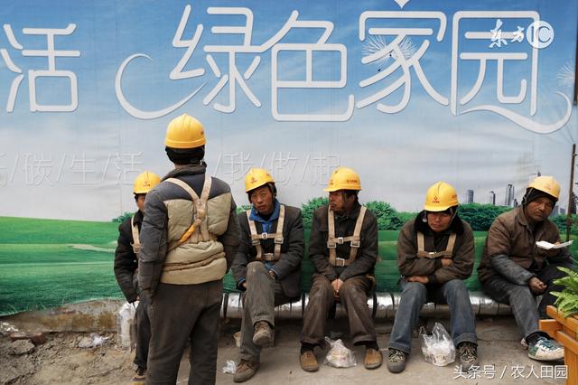 农民如何创业，政府应该做什么？