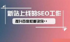 分享百度秒收秒排名的做法