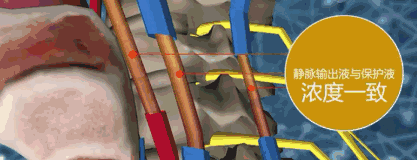 中国实现首例本土人体冷冻：从“冰冻人”到“复活”还剩四步！