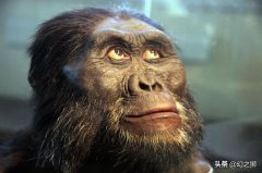 38.5万年前的石器遗迹被发现，进化论或再次被推翻