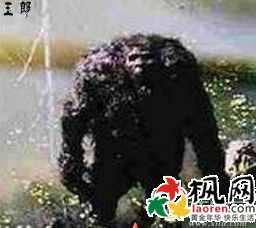 中国未解之谜有哪些?震惊中国的未解之谜全揭秘