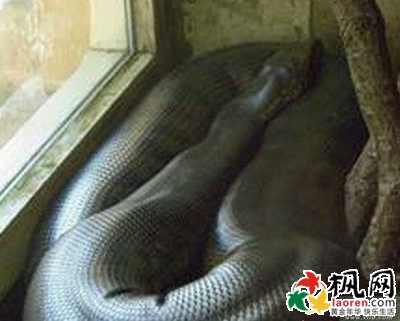 中国未解之谜有哪些?震惊中国的未解之谜全揭秘