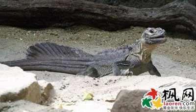 中国未解之谜有哪些?震惊中国的未解之谜全揭秘