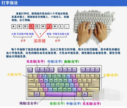 学会打字 学会打字