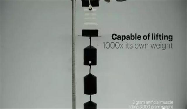 国外团队研发人造肌肉，是普通肌肉的15倍，可帮助残疾人士