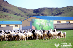 呷哺呷哺再启“溯源”之行：在品质与效率之间做好平衡