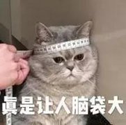 公司不开了，营业执照如何快速注销？