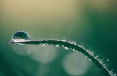  Q2财报发布在即 谁来拯救水逆的百度?