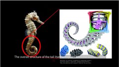 日本硬核青年打造“机械尾巴”，帮助残疾人保持身体平衡