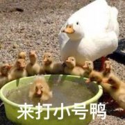 拒绝花里胡哨！三种方法简简单单教你微信多开