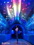 荣耀20S拍照如何？先带大家看看荣耀20S拍照样张