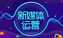 为什么越来越多的人转行新媒体？