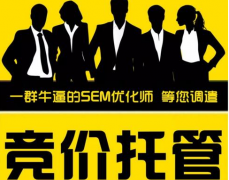 SEM竞价托管指的是什么意思?
