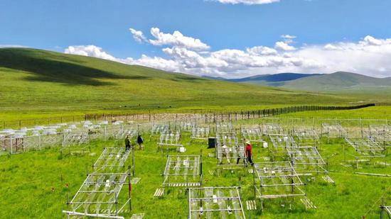 图4 青藏高原海北站野外增温实验平台（图片由贺金生老师提供）
