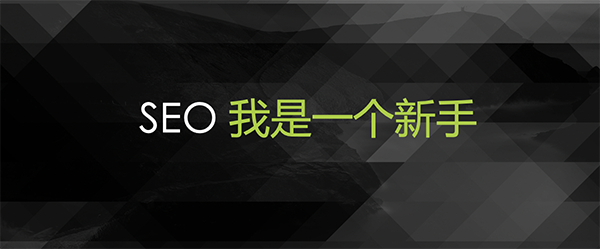 SEO新手职业发展规划