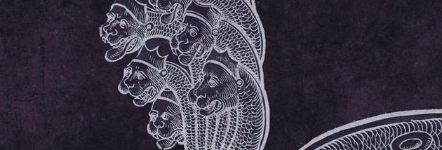 杂合怪物是优秀的模因，它们牢牢地留在我们的记忆中，很容易被回忆起来，并在整个社会群体中快速传播