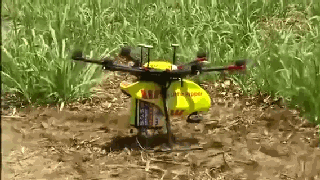 为了盯住神出鬼没的鳄鱼，澳大利亚部署了100架AI无人机