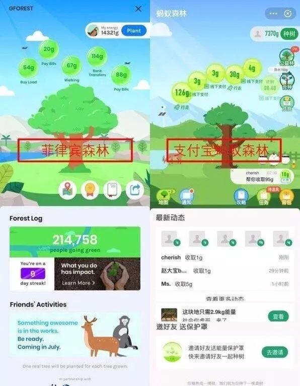 支付宝蚂蚁森林获联合国最高环保荣誉，里面有你的一份功劳