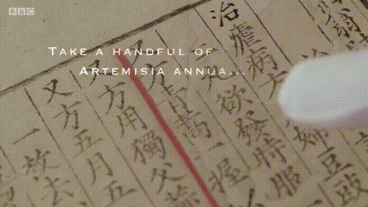 请再一次记住她的名字——屠呦呦