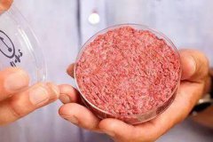 人造肉：植物肉 动物肉