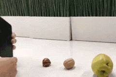 怎么评判你的手机好与坏？这几个标准能帮你