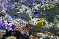 病毒营销案例经典