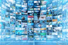 病毒式营销的基本规律分析