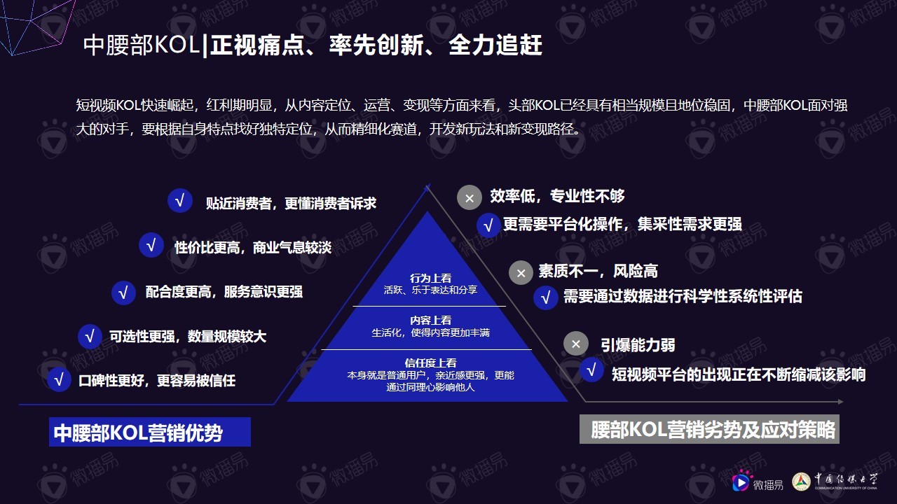 小个体有大势能:2020年中腰部KOL营销发展报告 小个体有大势能:2020年中腰部KOL营销发展报告