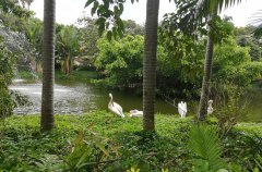 如何做网络品牌推广？