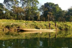 危机公关处理方法中的承担策略