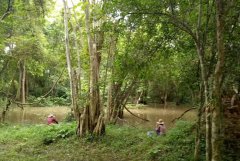 新品上市品牌推广的四个阶段