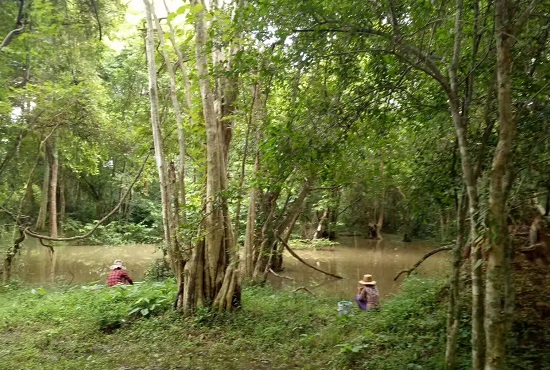 新品上市品牌推广的四个阶段