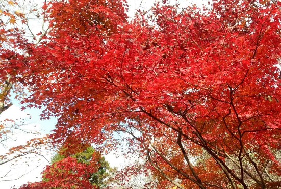 公司网站维护如何做？企业网站维护的十个方面