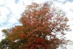 新闻发稿哪家发稿公司好？