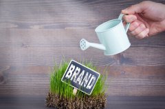 掌握公关传播要素的重要性，附案例分析