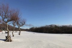 网络舆情负面如何处理？看这10种方法