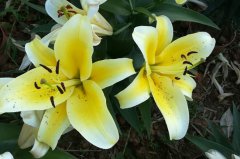 长尾词是什么意思？如何挖掘？