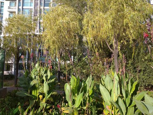 Redmi 8A评测：满足你对备用机的一切需求