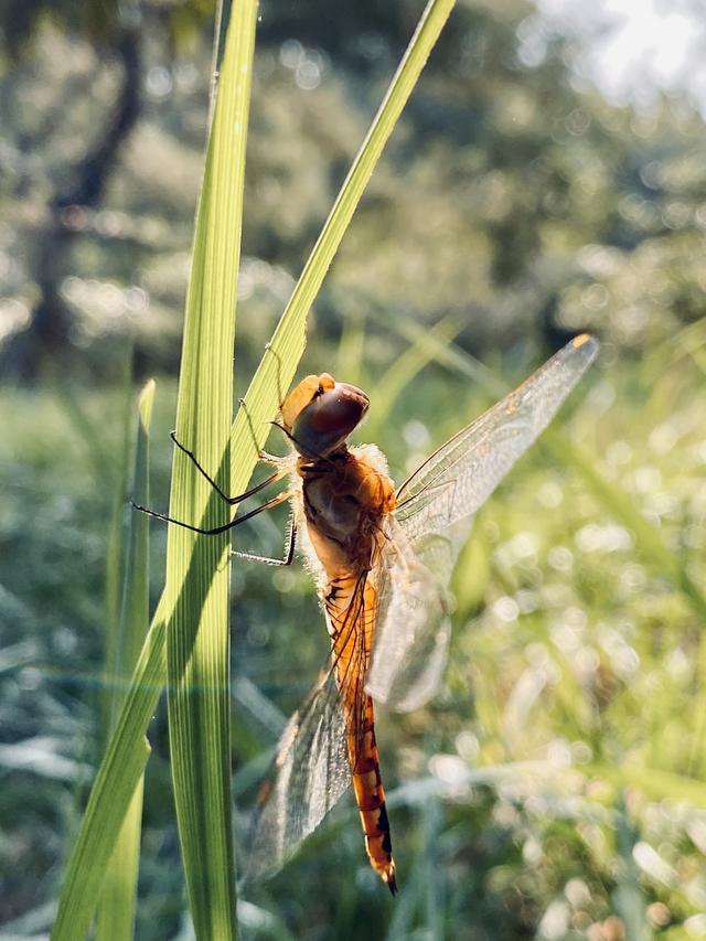 如何拍出刷爆社交平台的城市照？iPhone 获奖摄影师告诉你