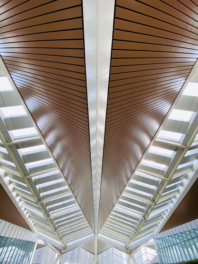 如何拍出刷爆社交平台的城市照？iPhone 获奖摄影师告诉你