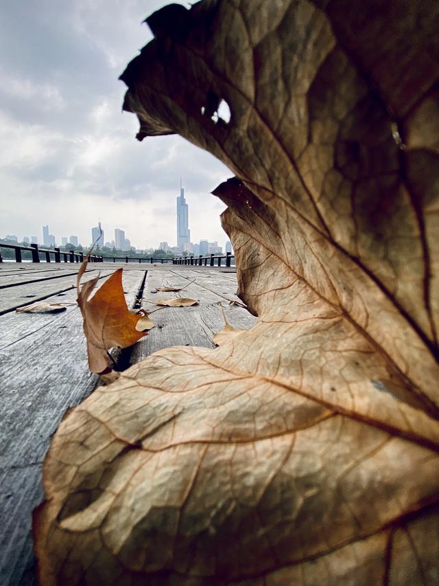 如何拍出刷爆社交平台的城市照？iPhone 获奖摄影师告诉你