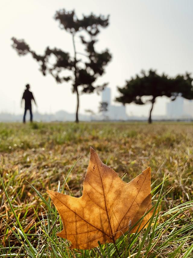 如何拍出刷爆社交平台的城市照？iPhone 获奖摄影师告诉你