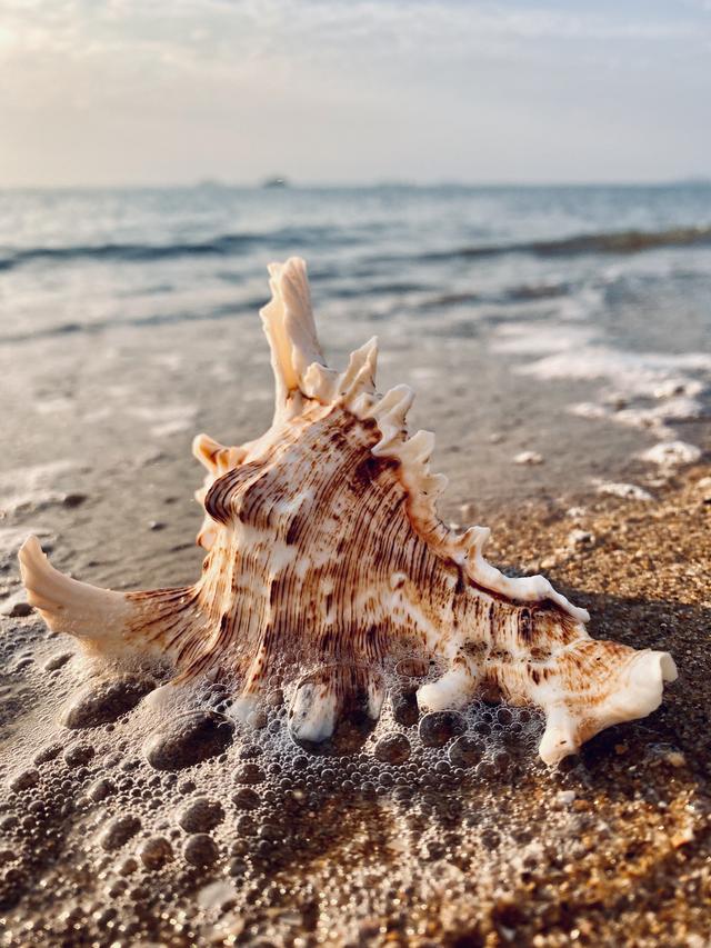 如何拍出刷爆社交平台的城市照？iPhone 获奖摄影师告诉你