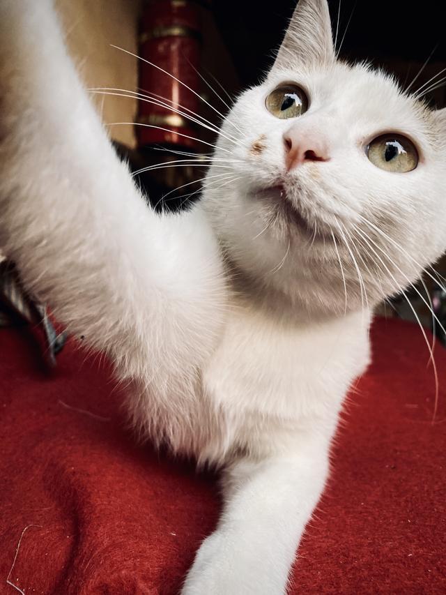 如何拍出刷爆社交平台的城市照？iPhone 获奖摄影师告诉你