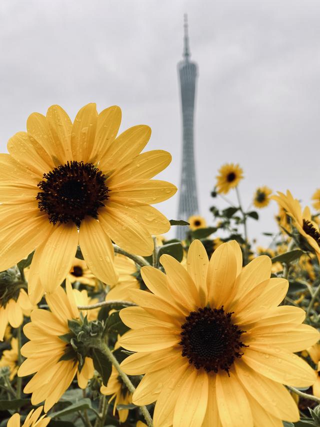 如何拍出刷爆社交平台的城市照？iPhone 获奖摄影师告诉你