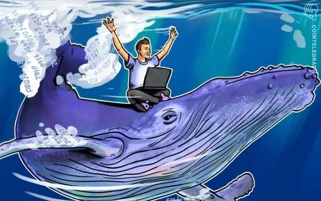 7年前，我在币圈交出第一笔学费