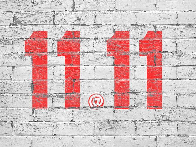 为了“双十一”商标 京东把商标评审委员会告了