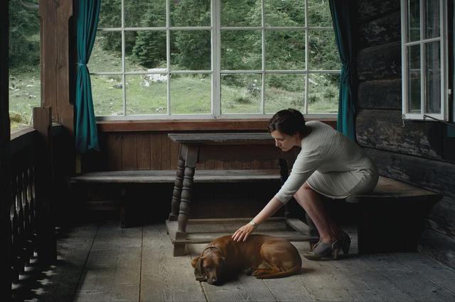 VIPKID融资暂停的事故与故事