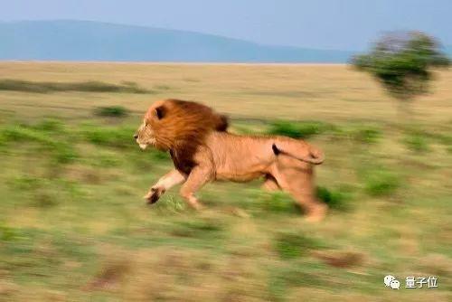 51年被发现9次，陶哲轩证明的公式成了重复造轮子？并没这么简单