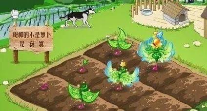 曾经很火但消失了的软件，你还记得几个？